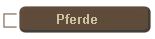 Pferde